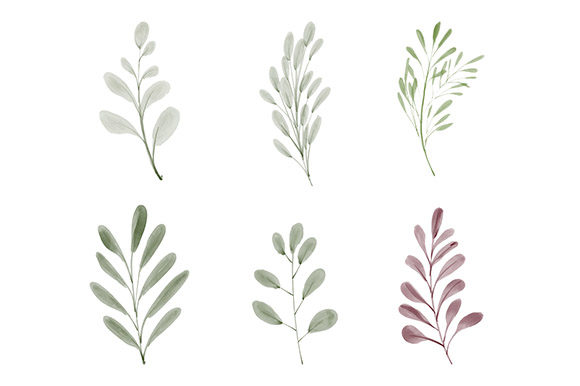 Download Watercolor Leaf Greenery Element Set - Element Collection